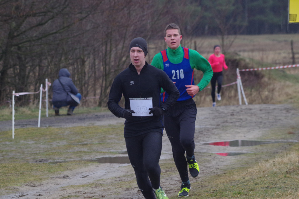 12 biegi przełajowe Cross Festiwal [ZDJĘCIA]