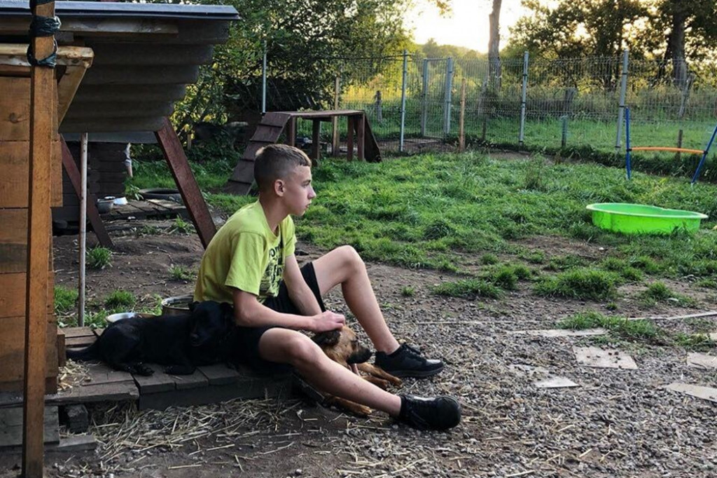 Bytowska młodzież pomaga psom w schronisku