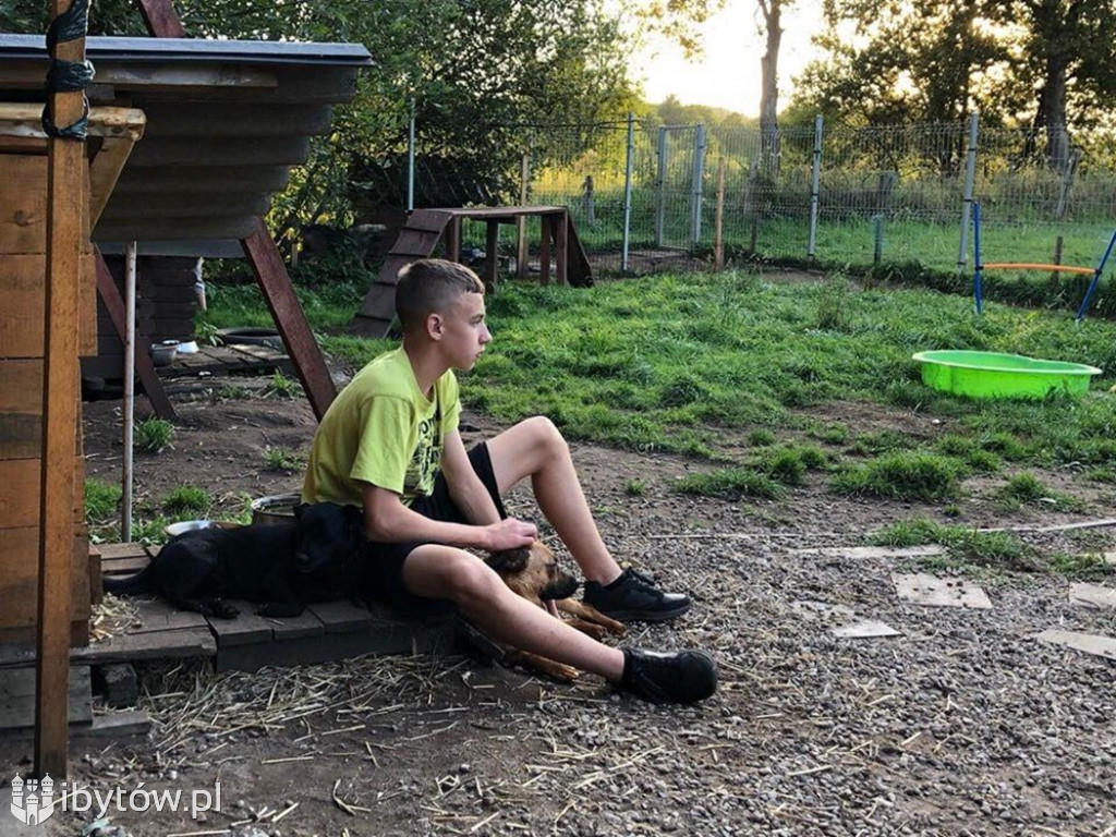 Bytowska młodzież pomaga psom w schronisku