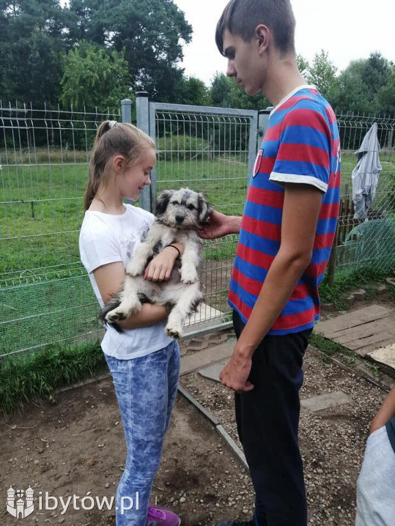 Bytowska młodzież pomaga psom w schronisku