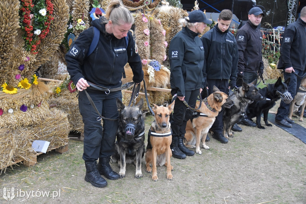 Dożynki Parchowo 2019