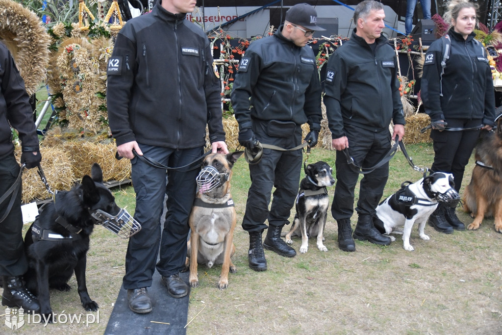 Dożynki Parchowo 2019