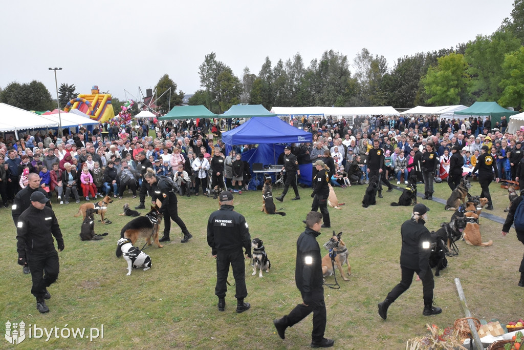 Dożynki Parchowo 2019