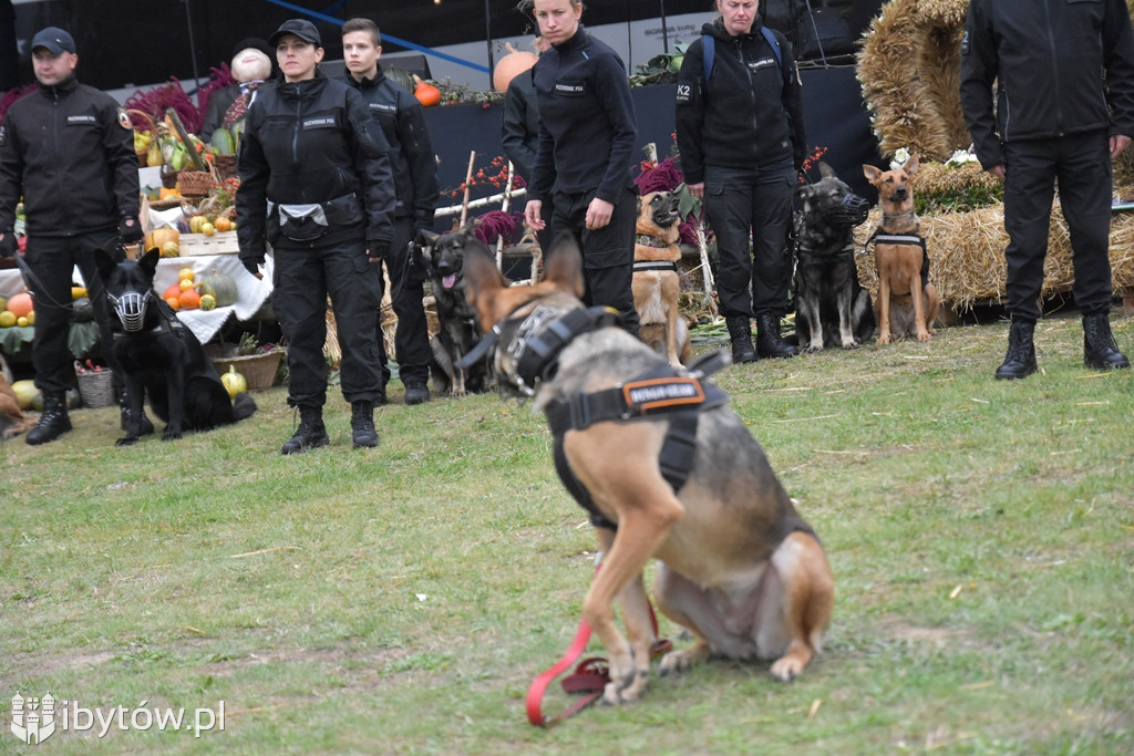 Dożynki Parchowo 2019
