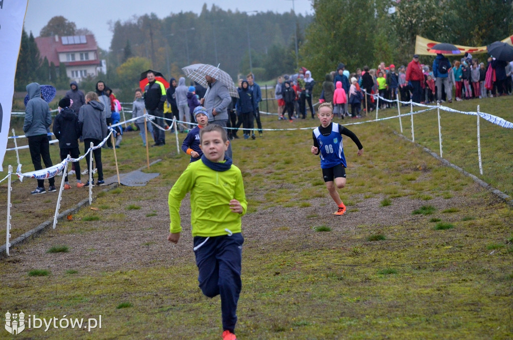 XXXI Bieg Rodła w Gostkowie