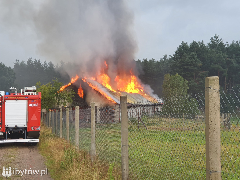 Piorun strzelił w stajnię w i spowodował pożar