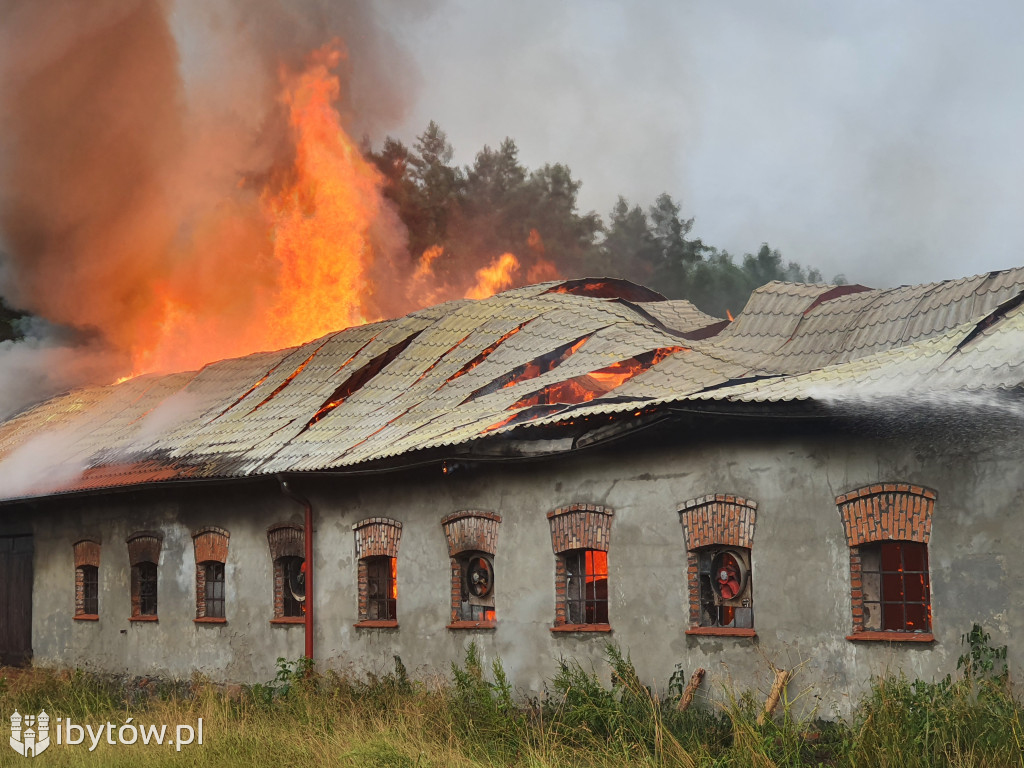 Piorun strzelił w stajnię w i spowodował pożar