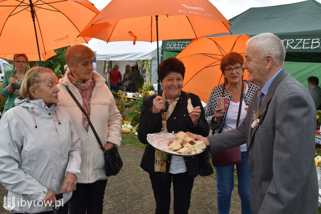 Dożynki w Trzebielinie sponsorowane przez Drutex