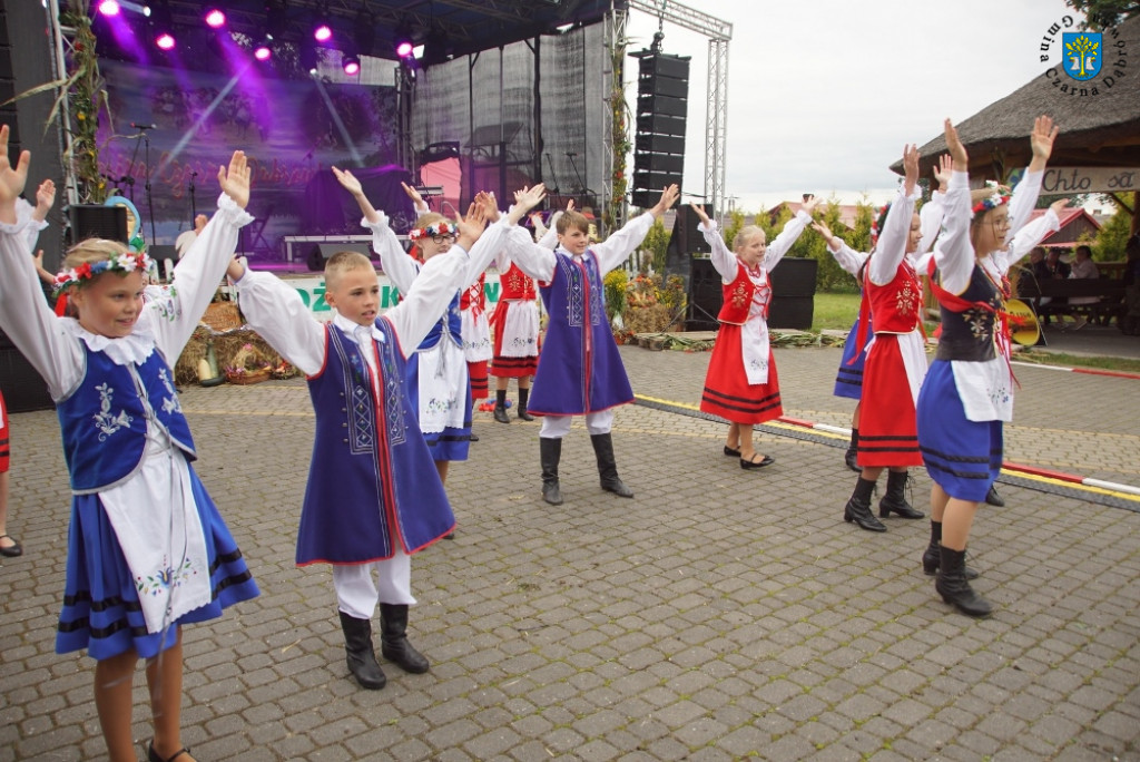 Dożynki Gminne w Rokitach