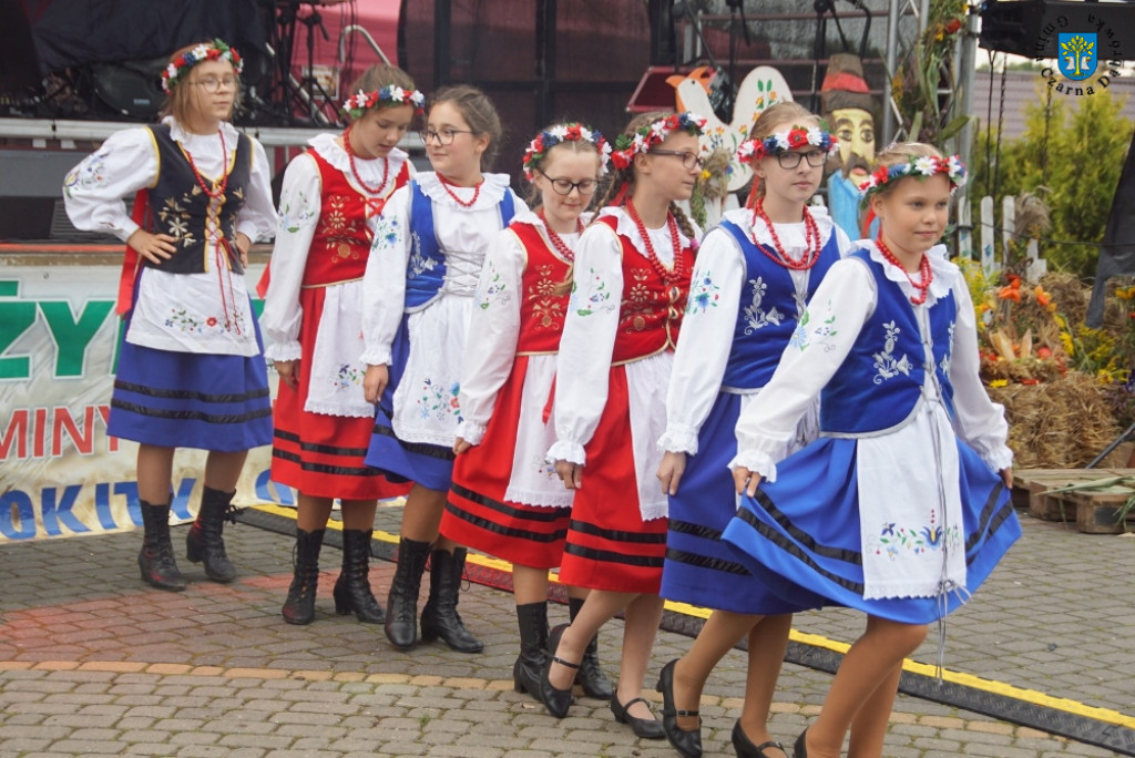Dożynki Gminne w Rokitach