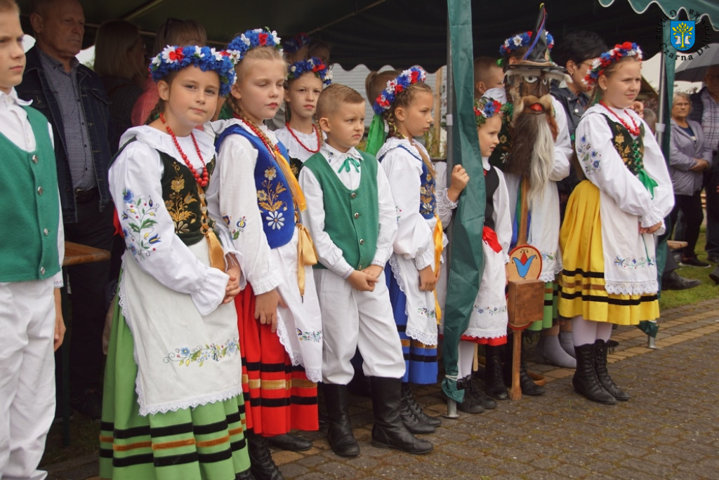 Dożynki Gminne w Rokitach
