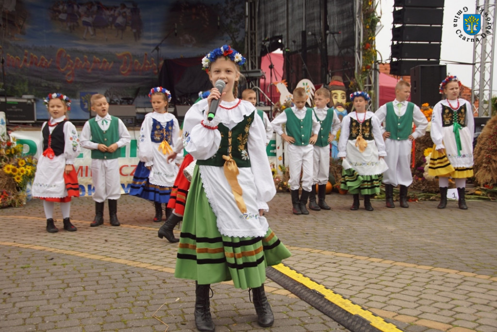 Dożynki Gminne w Rokitach