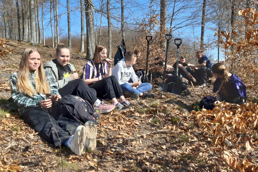 Uczniowie z Kramarzyn posadzili 2100 drzew