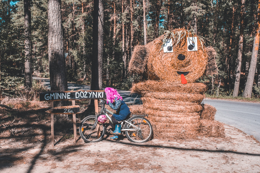 Pogoda dopisała. Udane dożynki w Lipnicy [FOTO]