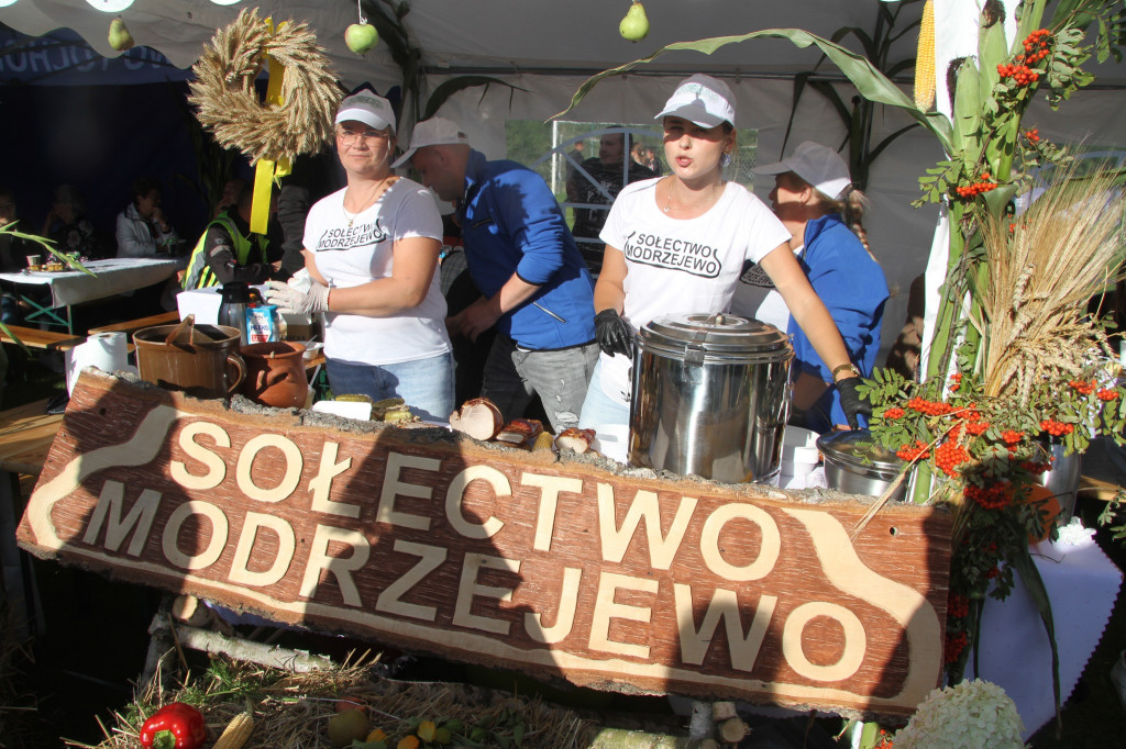 Tłumy na powiatowo-gminnych dożynkach [FOTO]