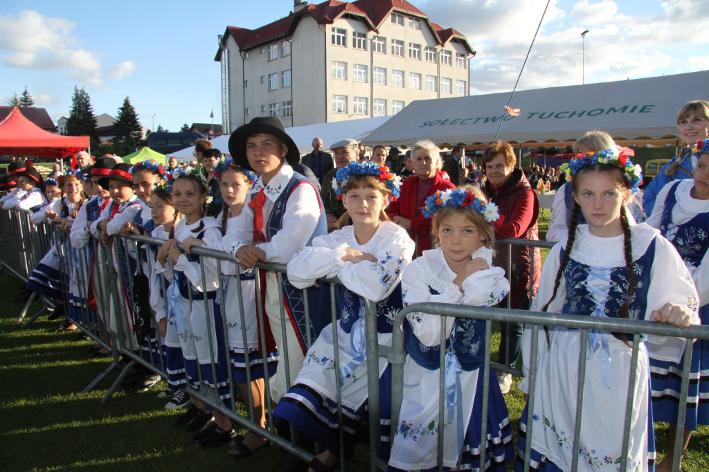 Tłumy na powiatowo-gminnych dożynkach [FOTO]