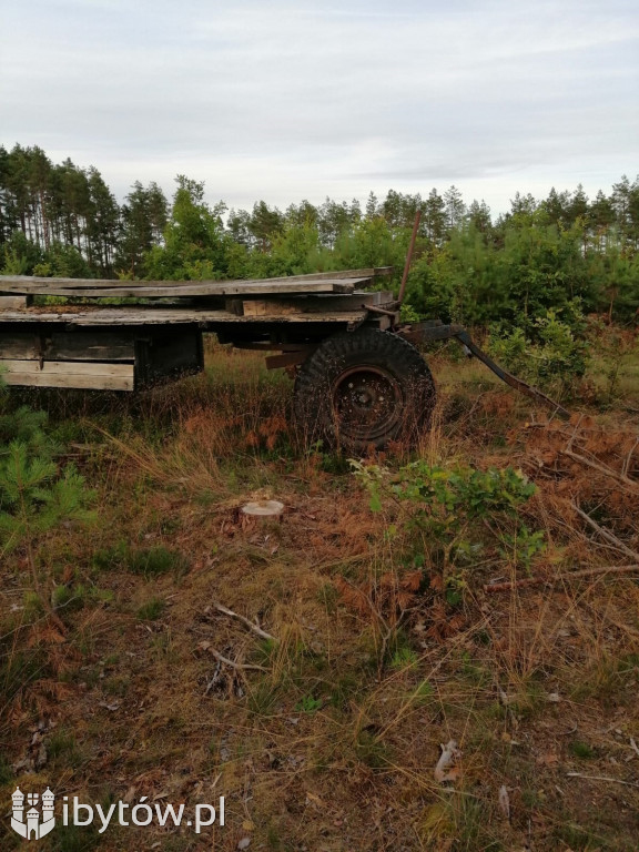 SKARGA na bałagan u rolnika. WRAŻLIWE OKO turystki