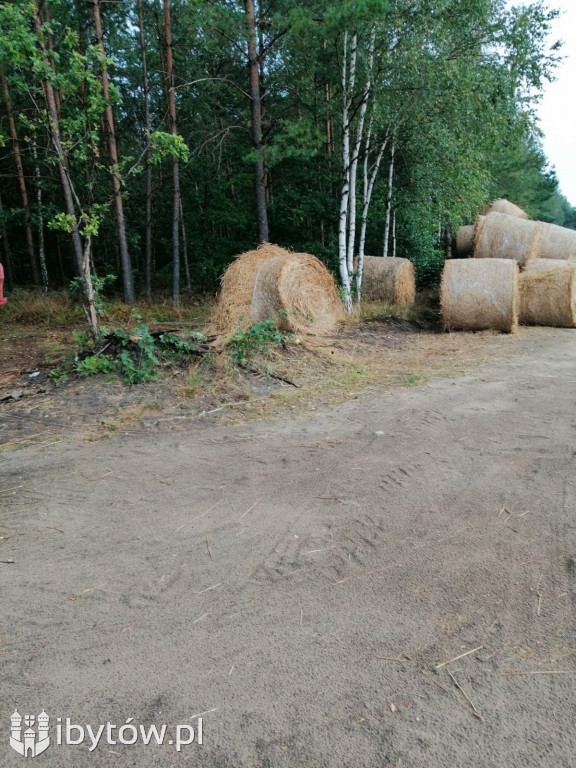 SKARGA na bałagan u rolnika. WRAŻLIWE OKO turystki