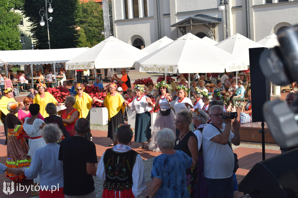 Festiwal Chórów i Zespołów Seniorów 2024 [FOTO]