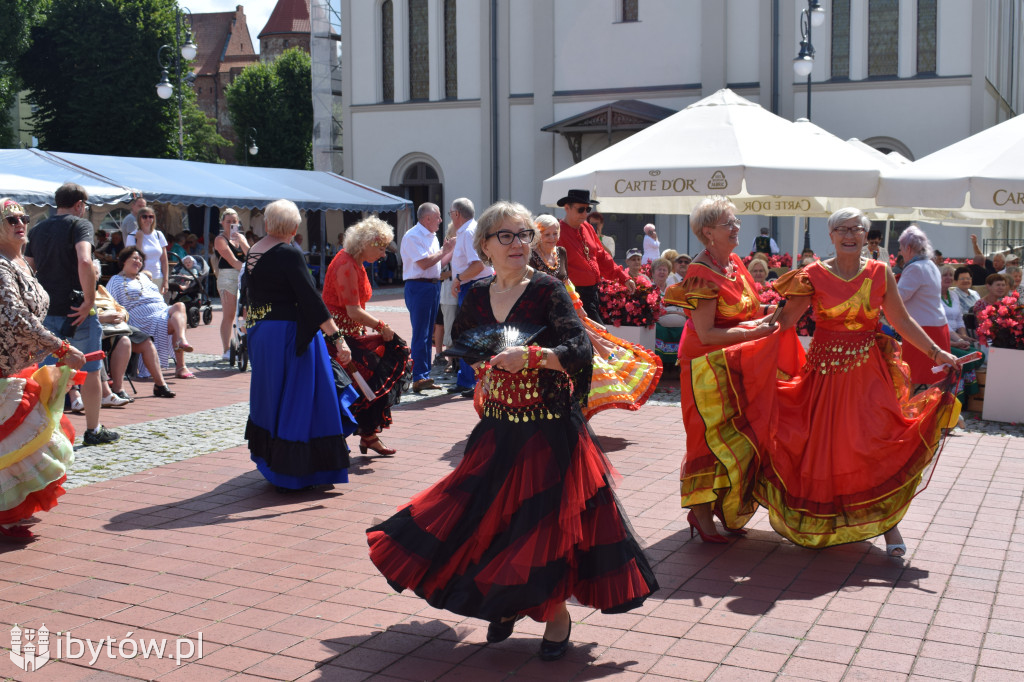 Festiwal Chórów i Zespołów Seniorów 2024 [FOTO]