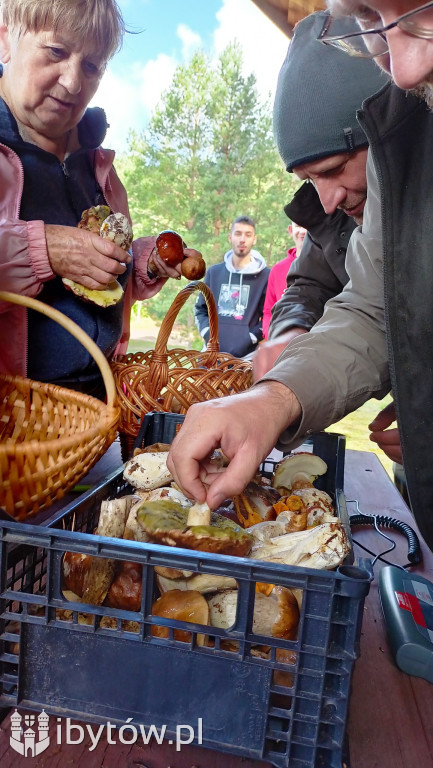 WIELKIE grzybobranie w Parchowie. Dobry wynik Litwinów