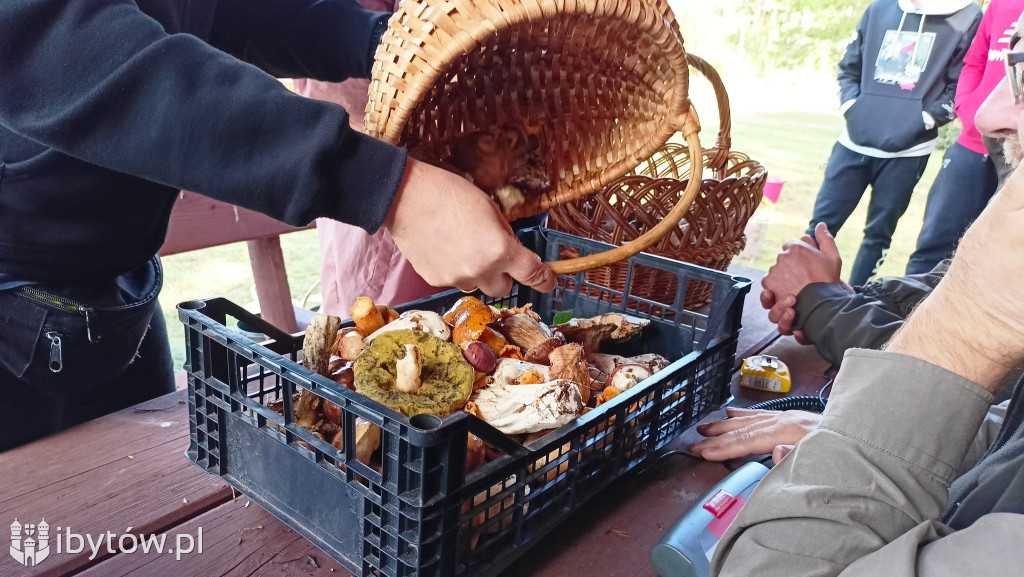 WIELKIE grzybobranie w Parchowie. Dobry wynik Litwinów