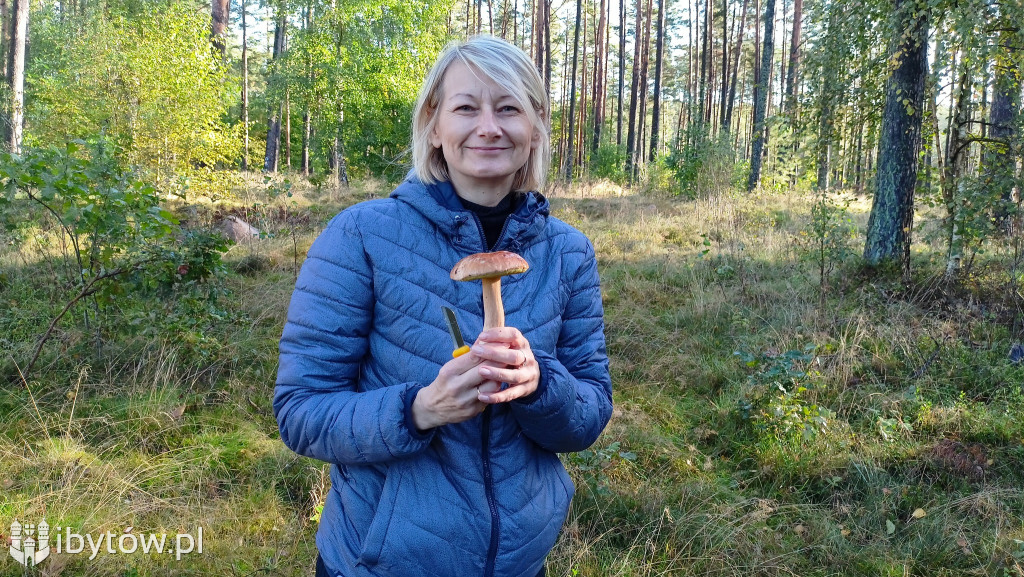 WIELKIE grzybobranie w Parchowie. Dobry wynik Litwinów