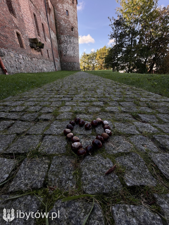 PIĘKNY jesienny Bytów Amelii Treder