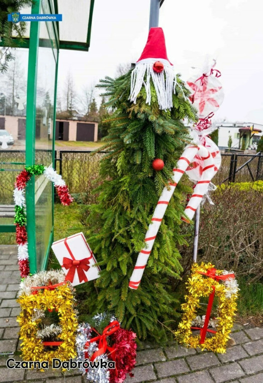 Najładniejszy Przystanek w Czarnej Dąbrówce [FOTO]