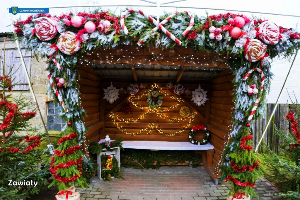 Najładniejszy Przystanek w Czarnej Dąbrówce [FOTO]