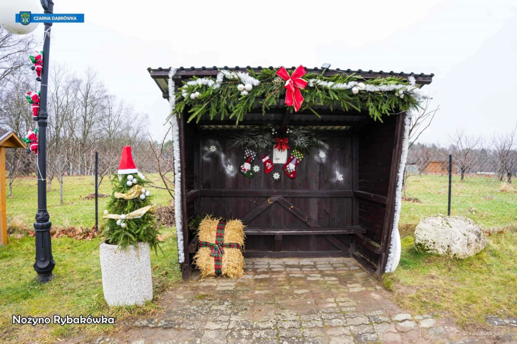 Najładniejszy Przystanek w Czarnej Dąbrówce [FOTO]