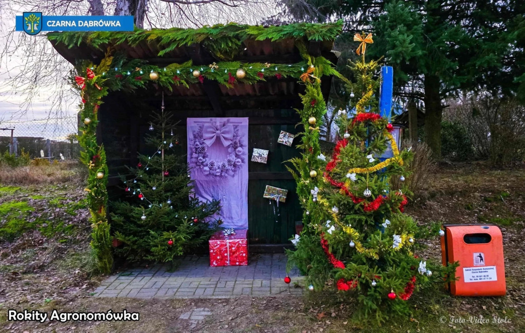 Najładniejszy Przystanek w Czarnej Dąbrówce [FOTO]