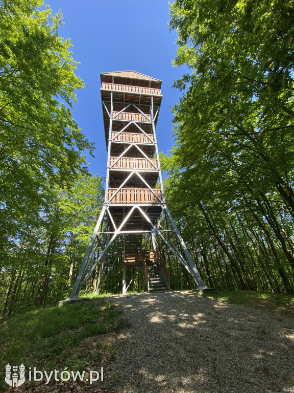 Z plecakiem po Ziemi Bytowskiej. Ponad 400 uczniów odkrywało lokalne skarby