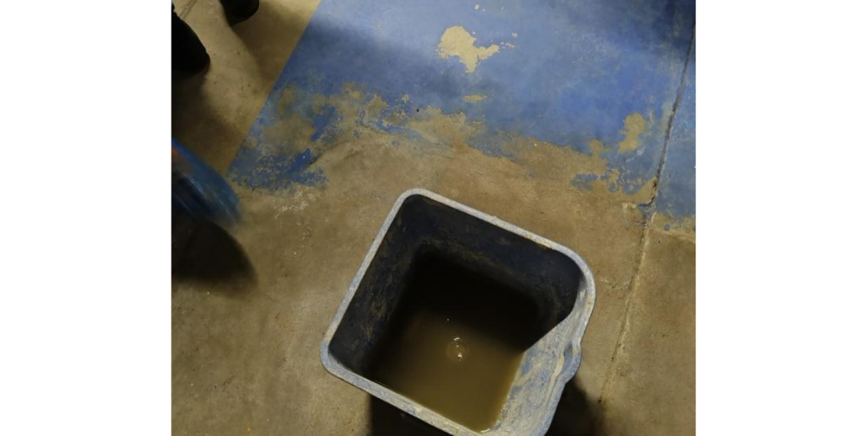 Galeria nieprawidłowości wykrytych w basenie Nimfa