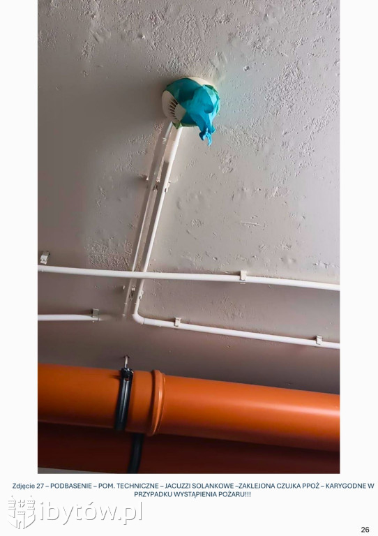 Galeria nieprawidłowości wykrytych w basenie Nimfa