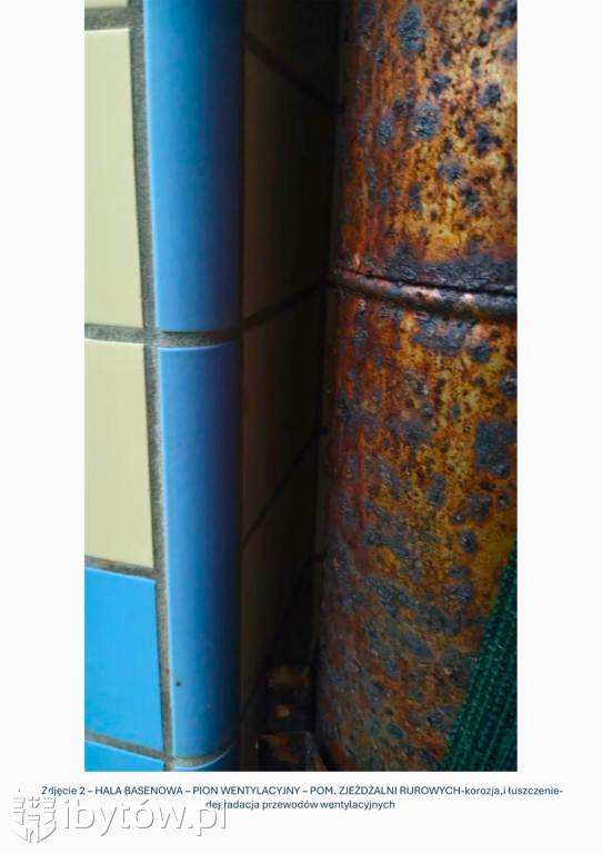 Galeria nieprawidłowości wykrytych w basenie Nimfa