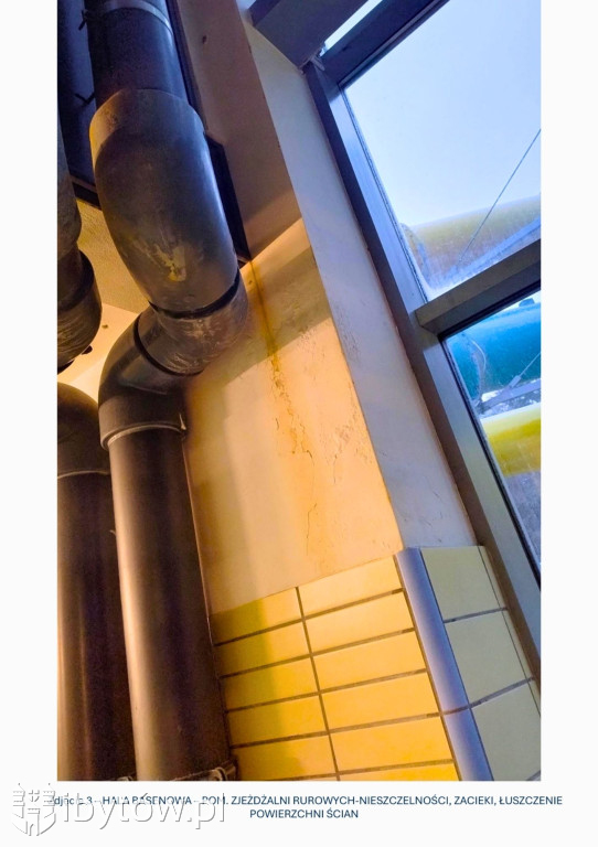 Galeria nieprawidłowości wykrytych w basenie Nimfa