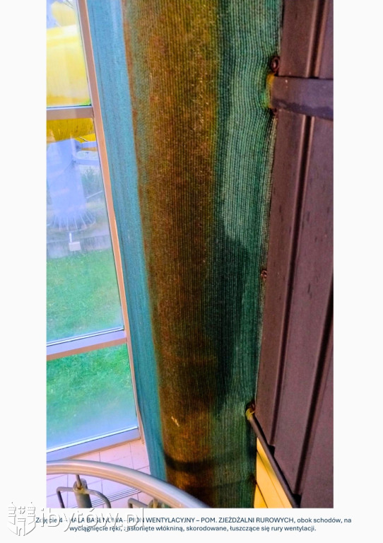 Galeria nieprawidłowości wykrytych w basenie Nimfa