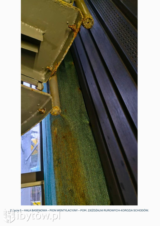 Galeria nieprawidłowości wykrytych w basenie Nimfa