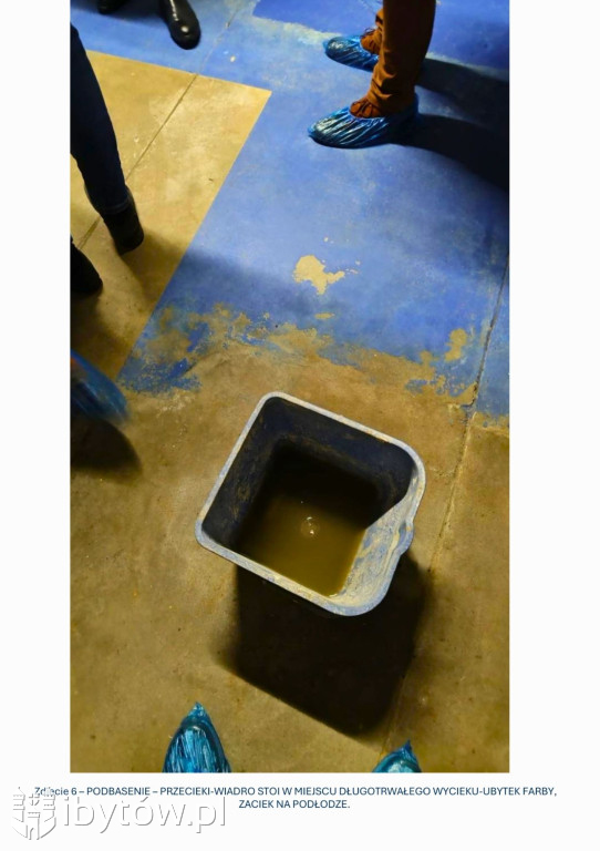 Galeria nieprawidłowości wykrytych w basenie Nimfa