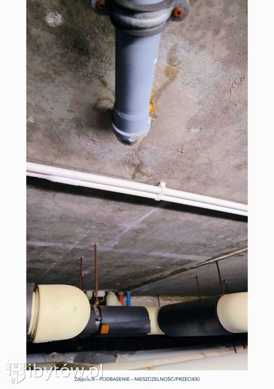 Galeria nieprawidłowości wykrytych w basenie Nimfa