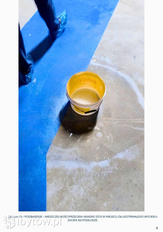 Galeria nieprawidłowości wykrytych w basenie Nimfa