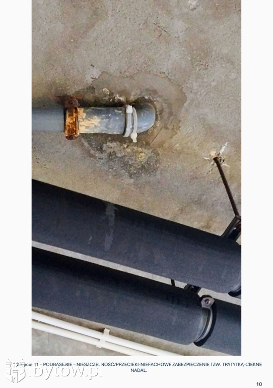 Galeria nieprawidłowości wykrytych w basenie Nimfa