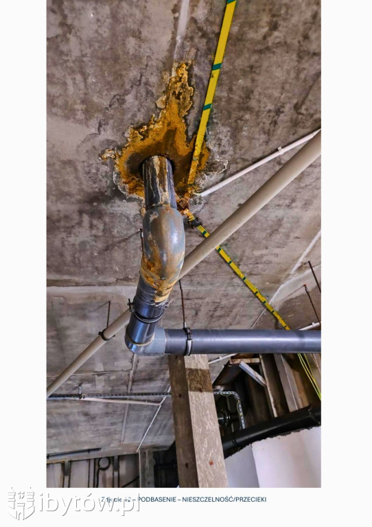 Galeria nieprawidłowości wykrytych w basenie Nimfa