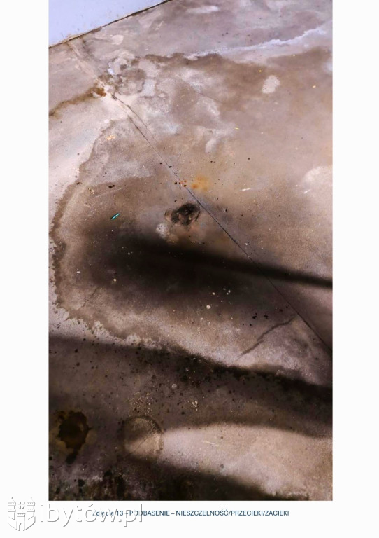 Galeria nieprawidłowości wykrytych w basenie Nimfa