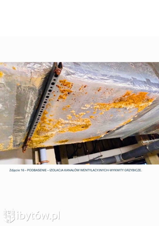 Galeria nieprawidłowości wykrytych w basenie Nimfa