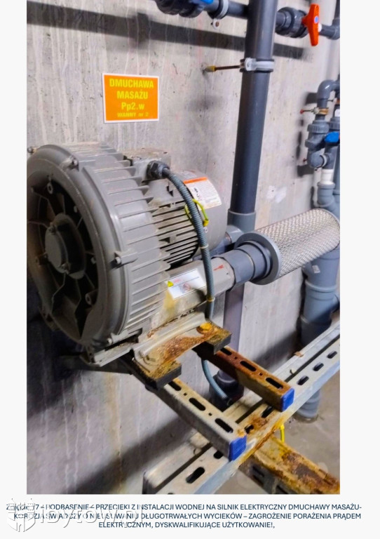 Galeria nieprawidłowości wykrytych w basenie Nimfa