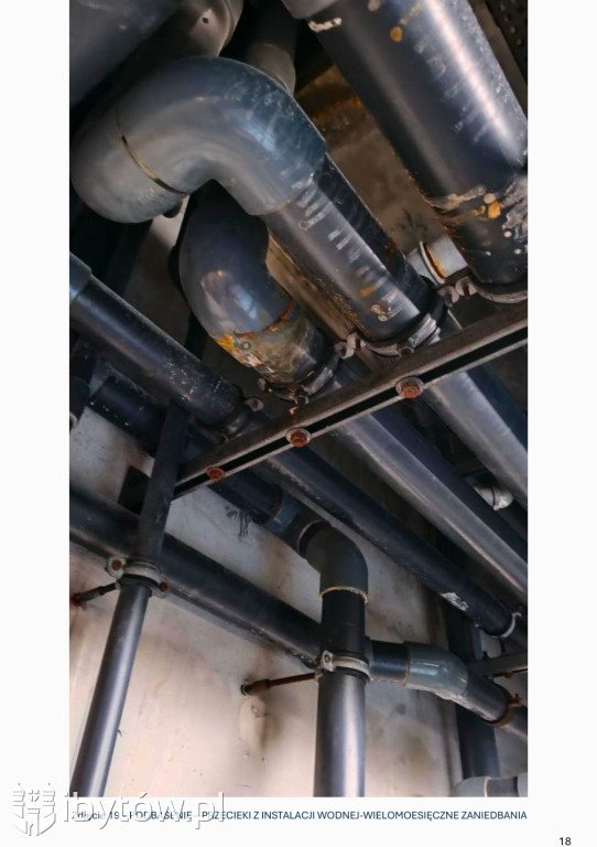 Galeria nieprawidłowości wykrytych w basenie Nimfa