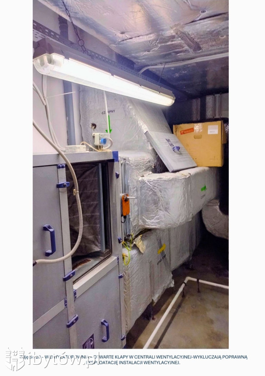 Galeria nieprawidłowości wykrytych w basenie Nimfa