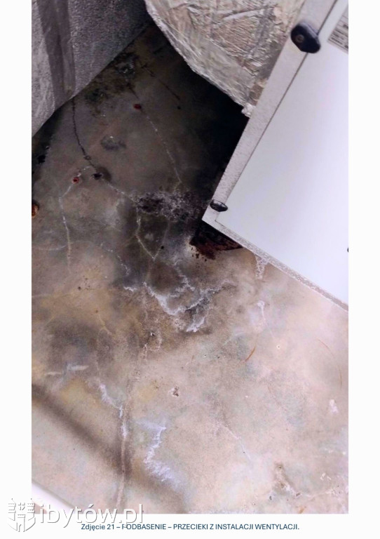 Galeria nieprawidłowości wykrytych w basenie Nimfa